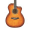 قیمت خرید فروش گیتار آکوستیک Ibanez A300E VV